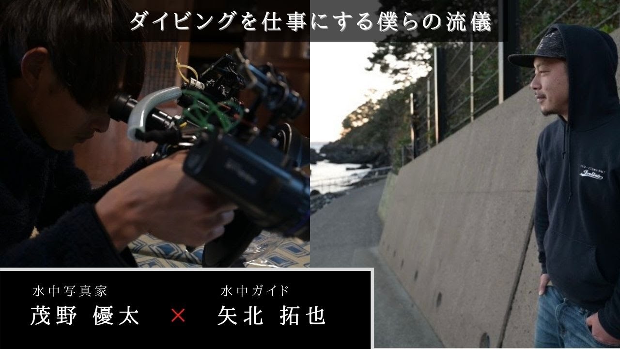 【水中ガイド×水中写真家】ダイビングのプロとして生きていく