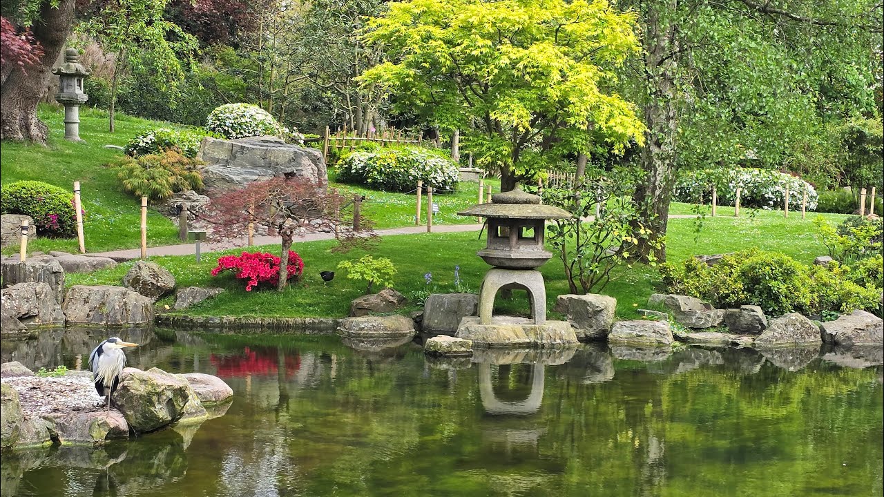 Relaxing Ambiance of Serene Kyoto Garden in London