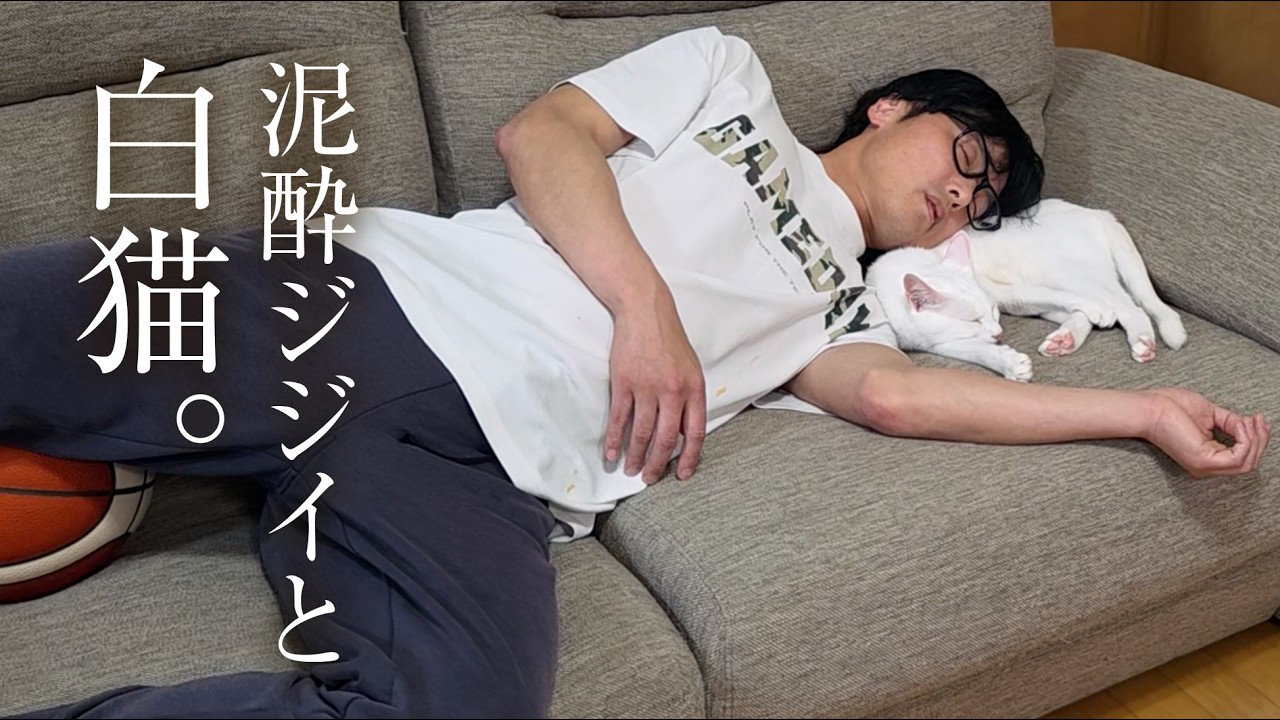おっ母が一番好きだけど、おっ父も嫌いではなさそうな白猫。