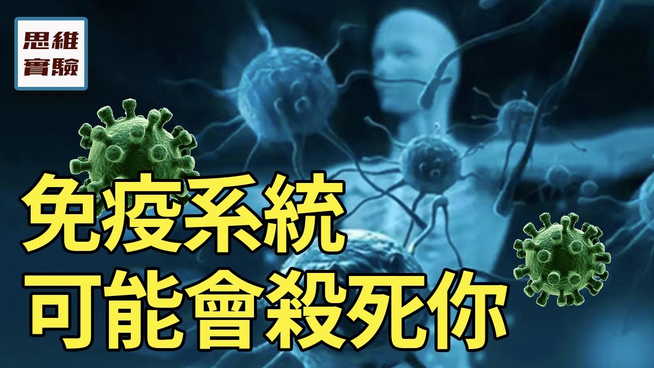 細胞炎症因子風暴：你的免疫系統可能會殺死你！托珠單抗原理丨思維實驗室 29