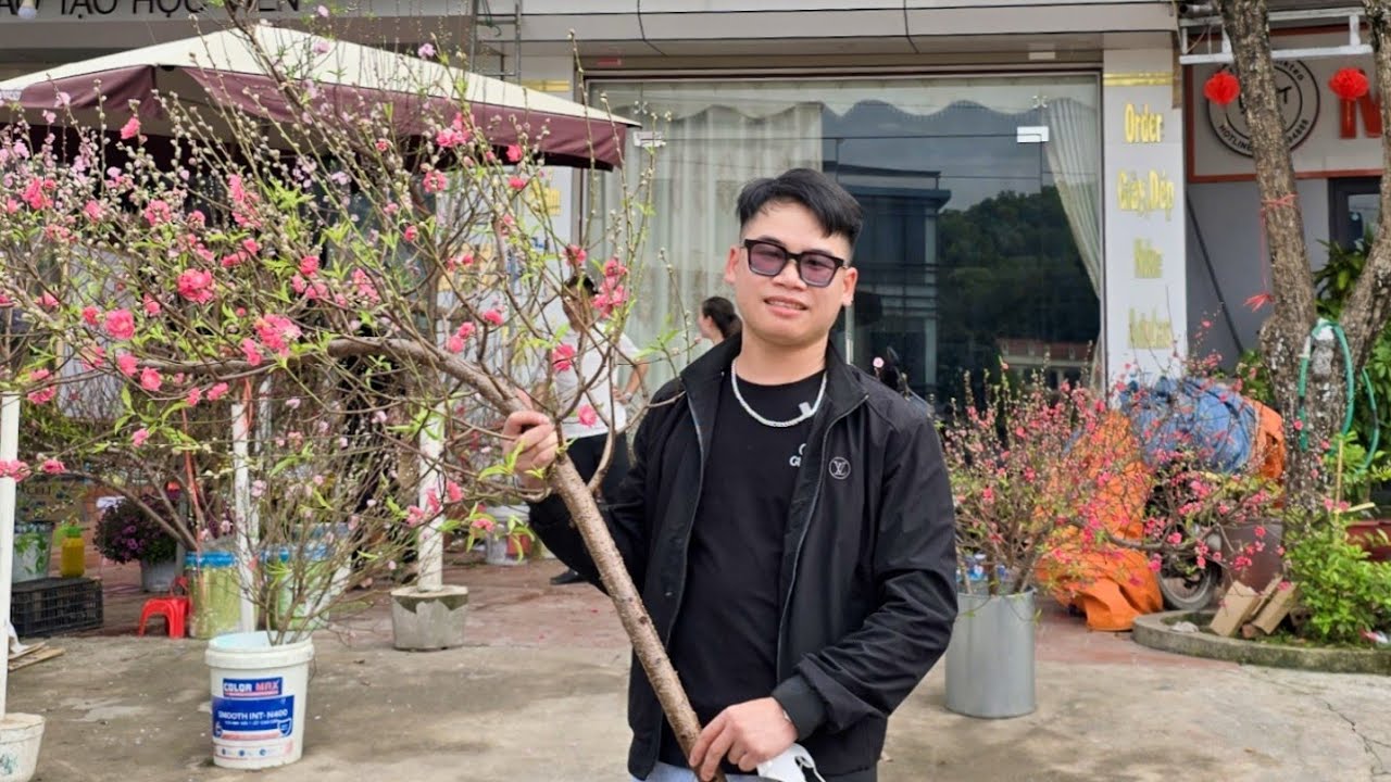 Ký Sự Thanh Niên Đi Mua Cành Đào Huyền Chơi Tết Giá 3đ