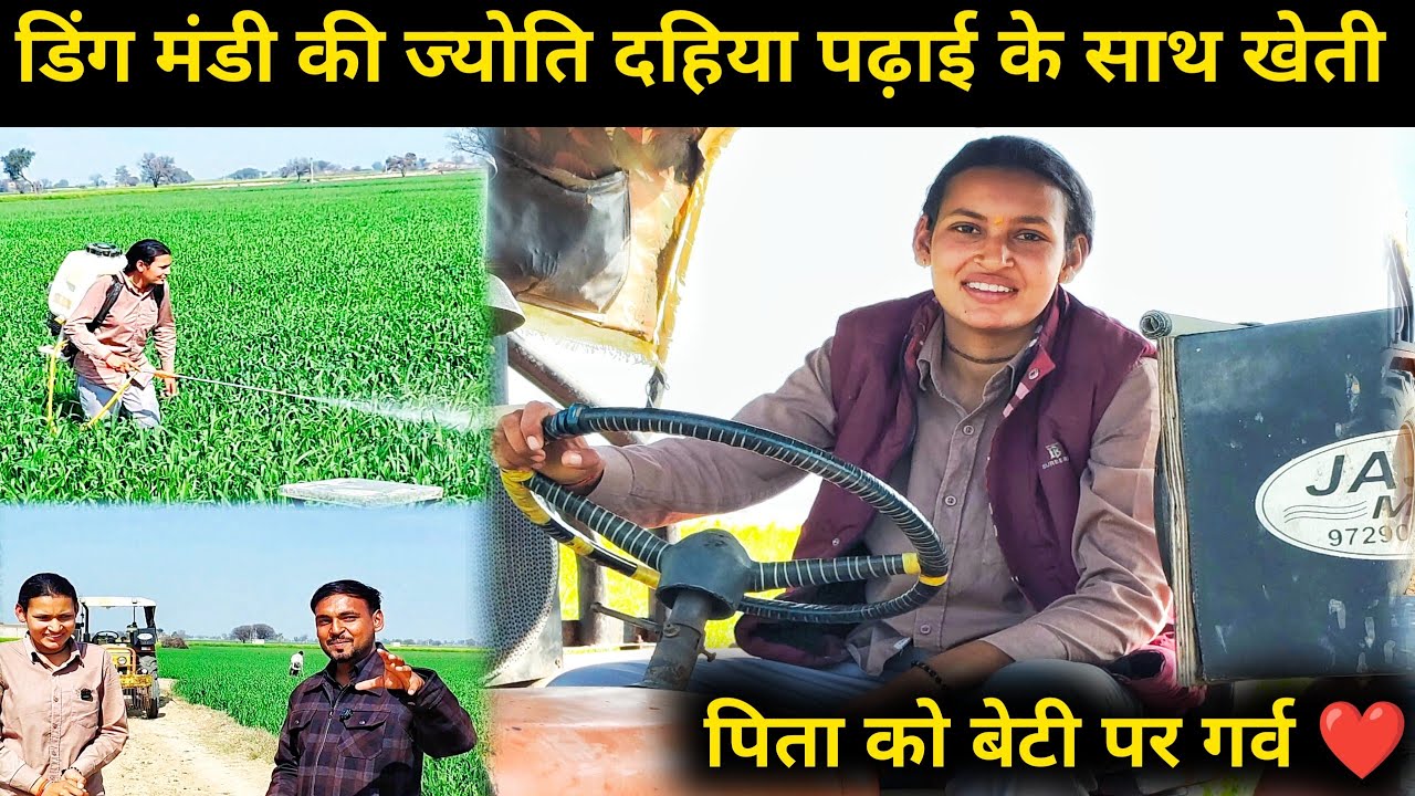 12वीं की छात्रा ज्योति दहिया 🚜5911 ट्रैक्टर से करती है खेती | पिता बोले–मेरी बेटी बेटे से आगे है 