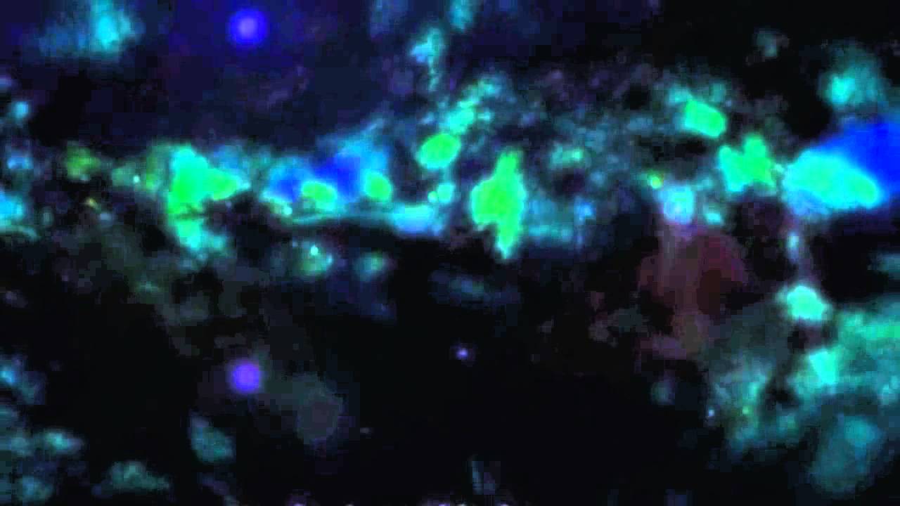 melodia mgieł nocnych  -  Ryszard Borkowski