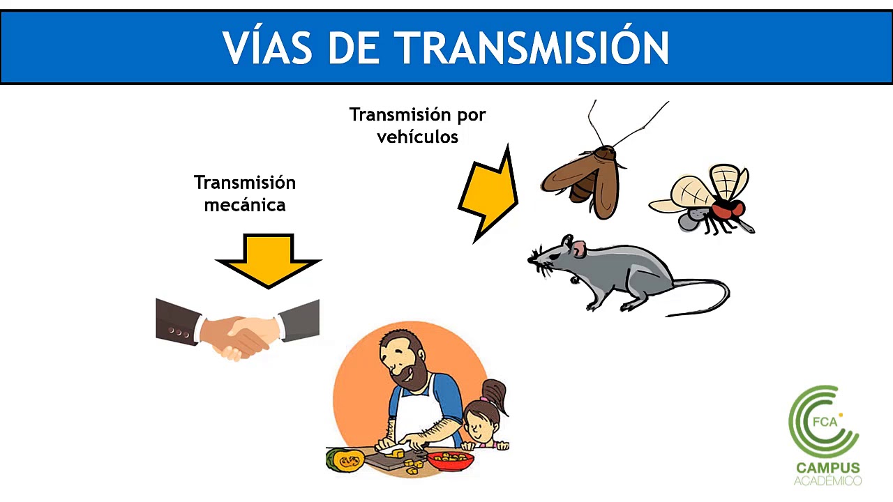 Microbiología de los Alimentos (Parte 1)