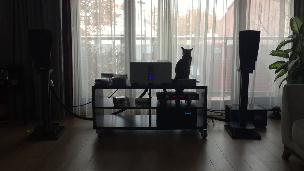 Dynaudio C1 Signature