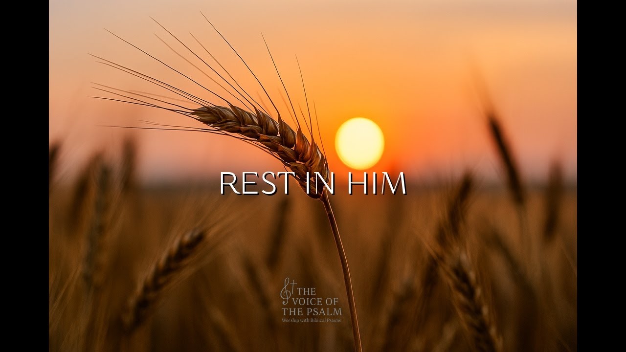Instrumental Music for Stress Relief | Relaxing Sounds to Find Serenity
