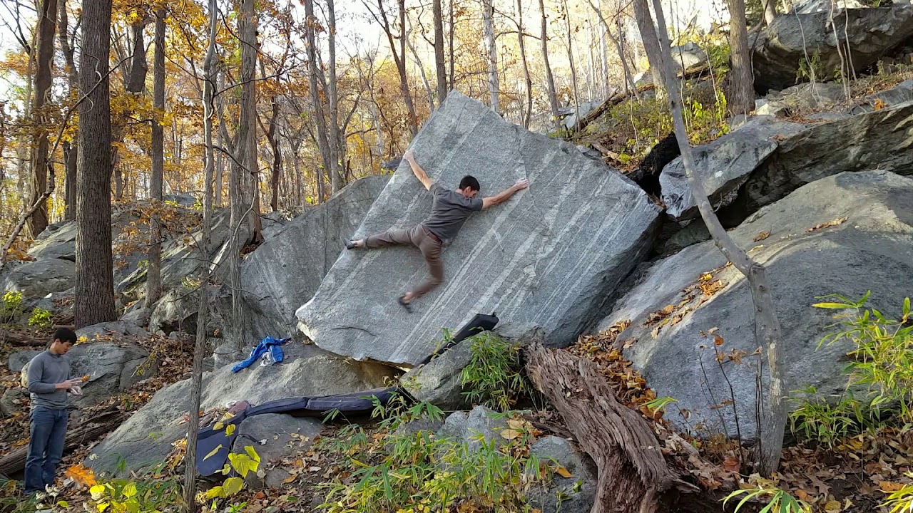 The Politician - V8 - Rumbling Bald