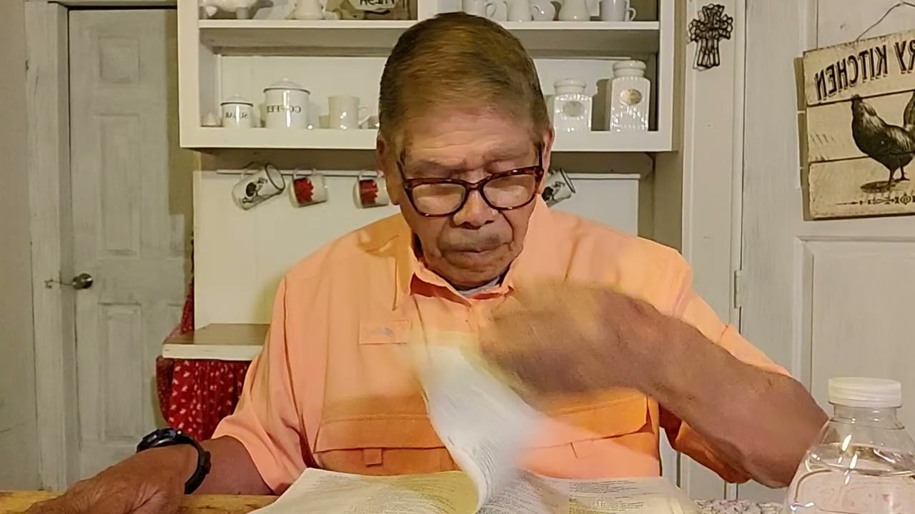 Cristo dijo abra un pastor y un rebano juan 10:16