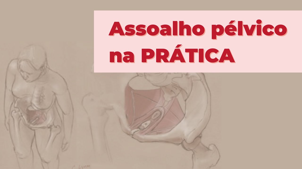 CONHEÇA SEU ASSOALHO PÉLVICO NA PRÁTICA
