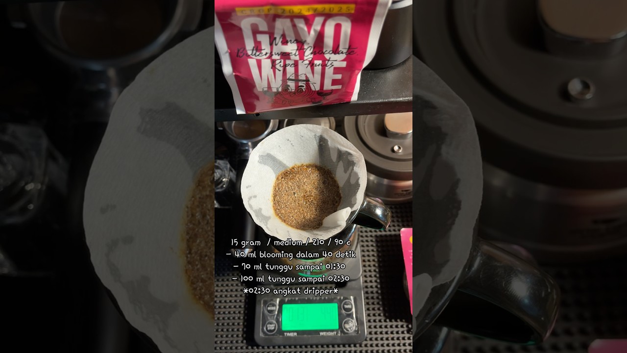 V60 arabika gayo wine