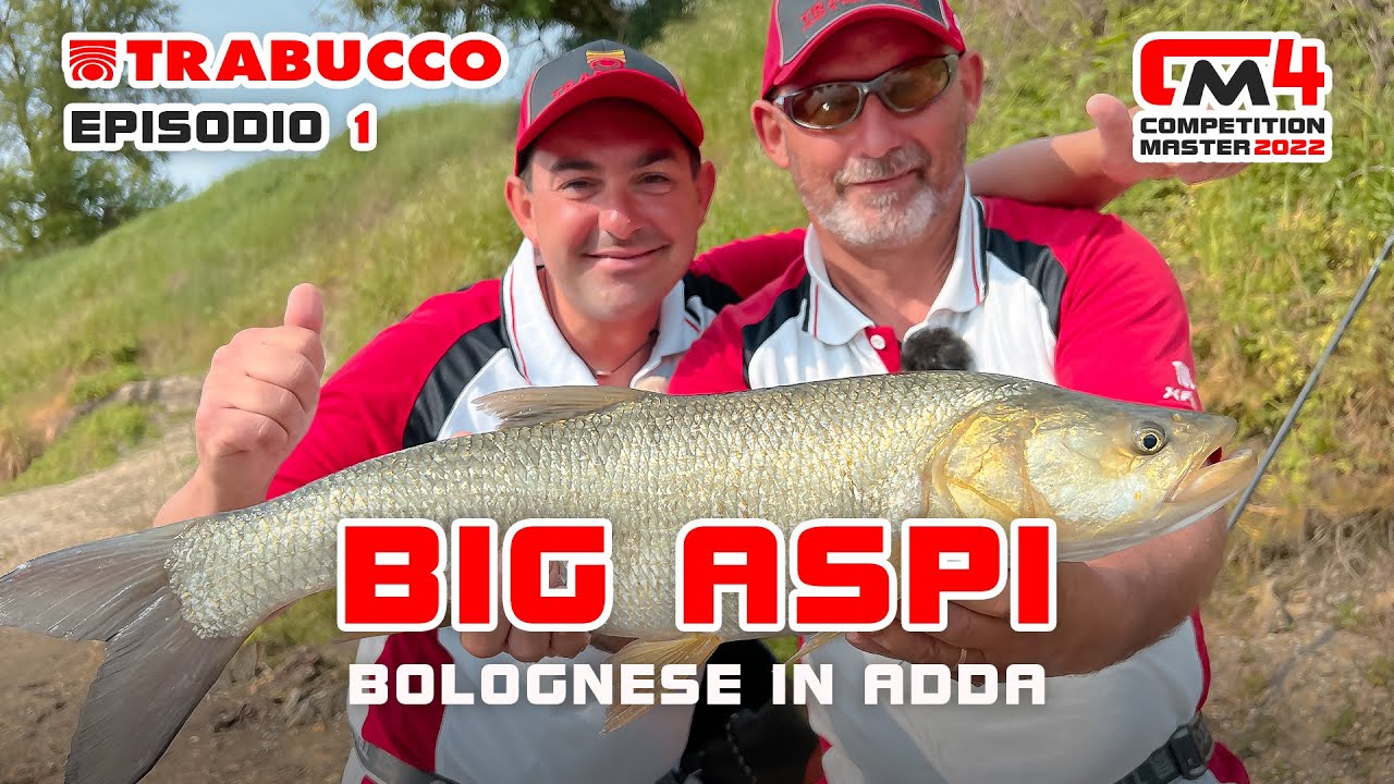 Pesca a Bolognese ai BIG ASPI (spot SEGRETISSIMO 🤐) » Competition 🏆 Master S4E1 @Trabucco Fishing​