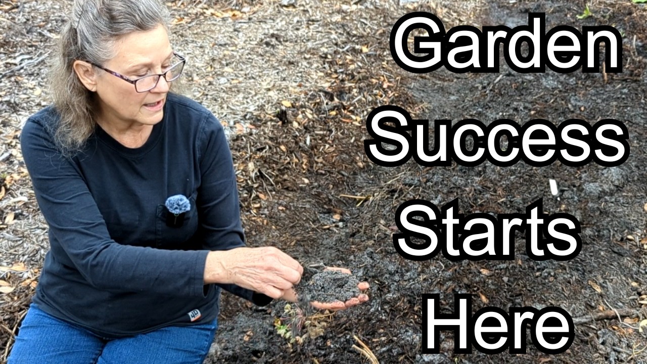Do these 4 things before planting your garden if you want lots of veggies