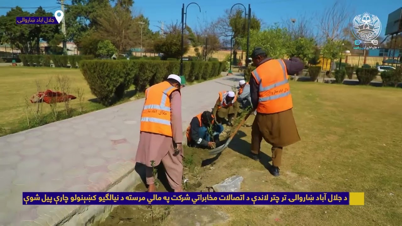 جلال اباد ښاروالۍ تر چتر لاندې د اتصالات مخابراتي شرکت په مالي مرسته د نیالګیو کښېنولو چارې پیل شوې