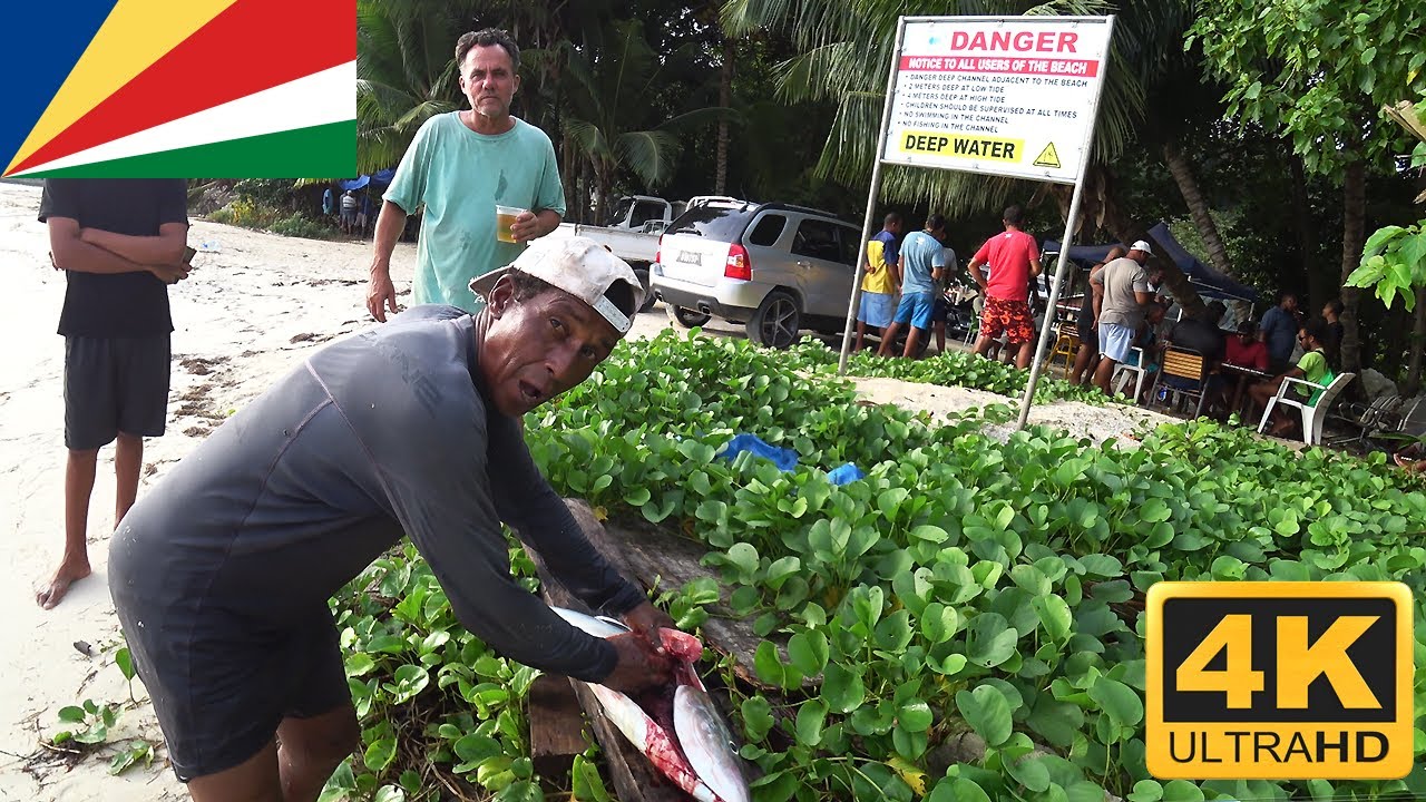 Jack Fish Mahé Seychelles