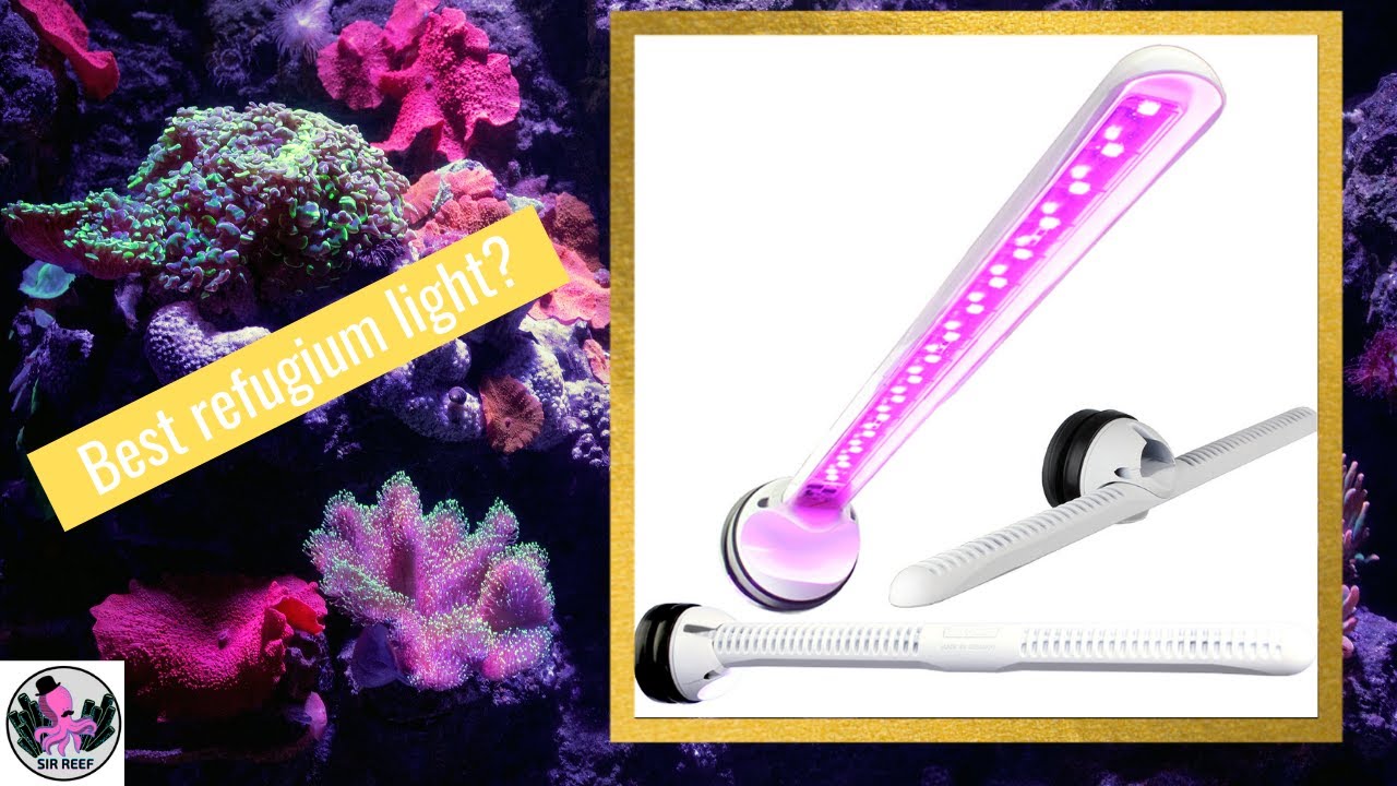 Tunze Ecochic Refugium Led - 1 month review