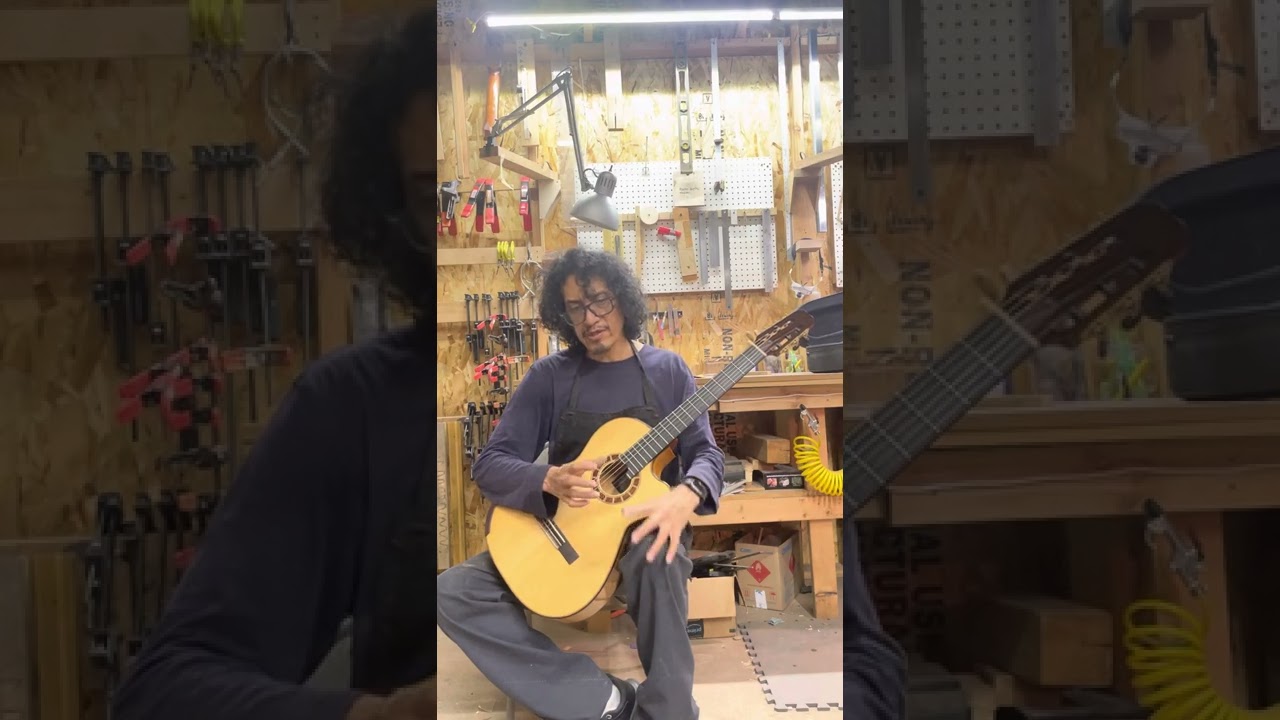 Cervantes Crossover 1 , cypress spruce demo