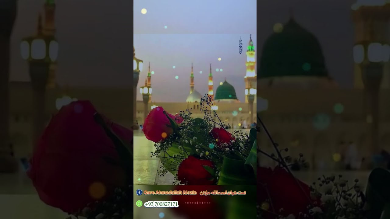که تجلی دی د سپین مخ نه وای پیدا حبیبه 