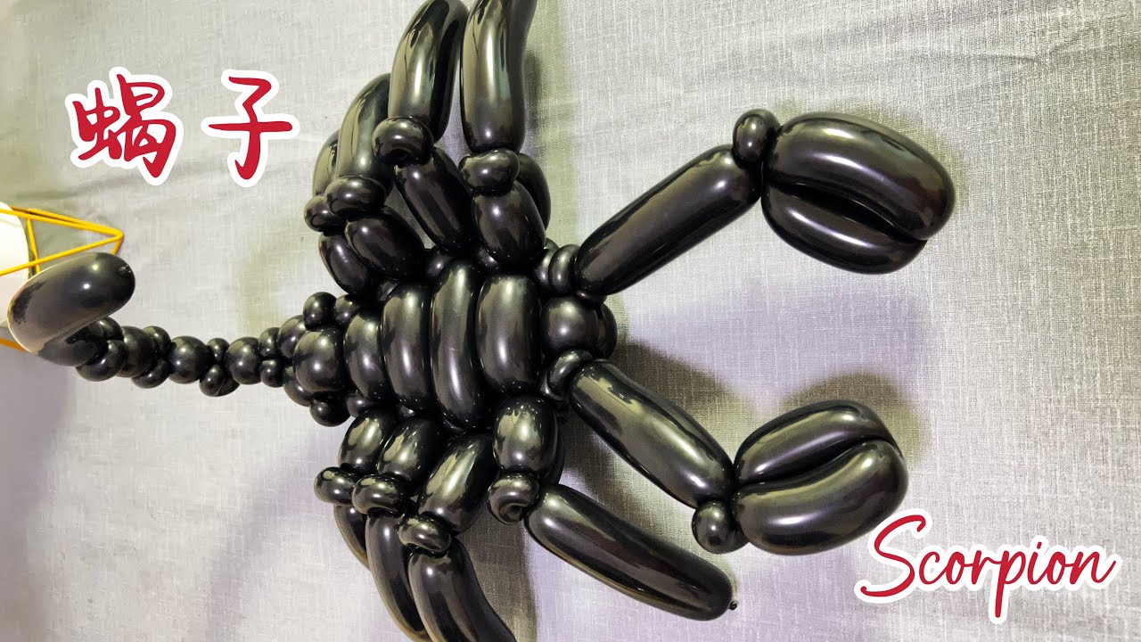 蝎子气球造型教学 Scorpion balloon shape suitable for beginners