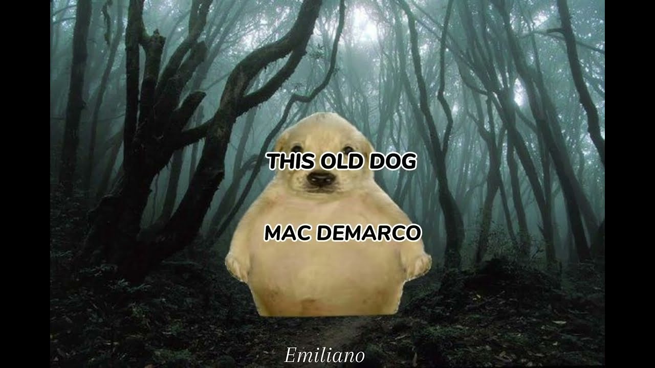 This old dog - Mac DeMarco (Letra - Lyrics) (español e ingles)