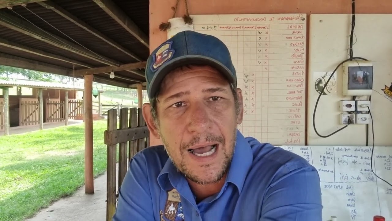 Cavalo fora da baia.