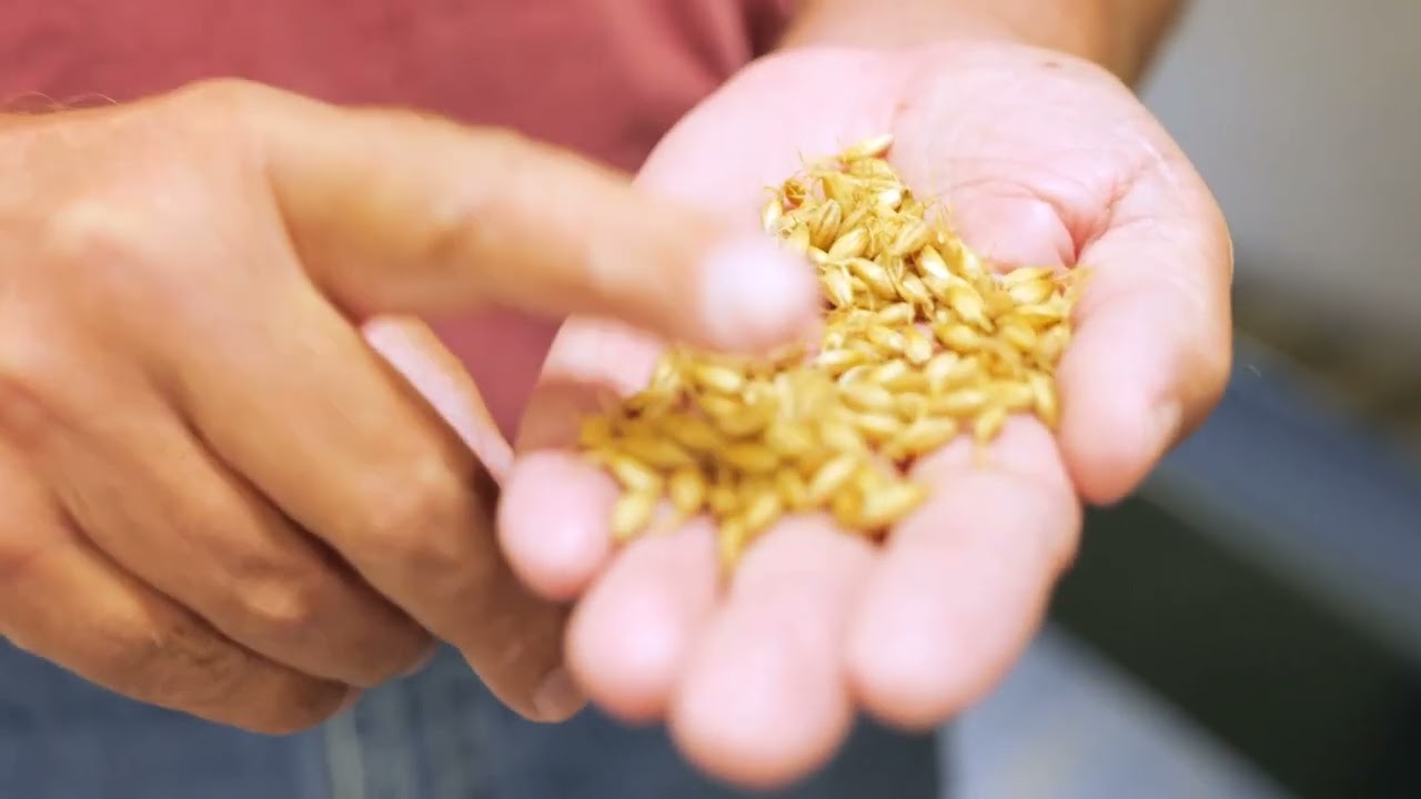 Craft Malt Week - Mini Malthouse Tour