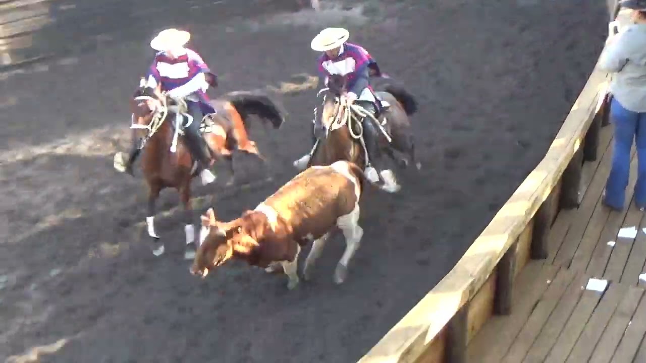champion v4 club de rodeo el cisne 22 y 23 Noviembre