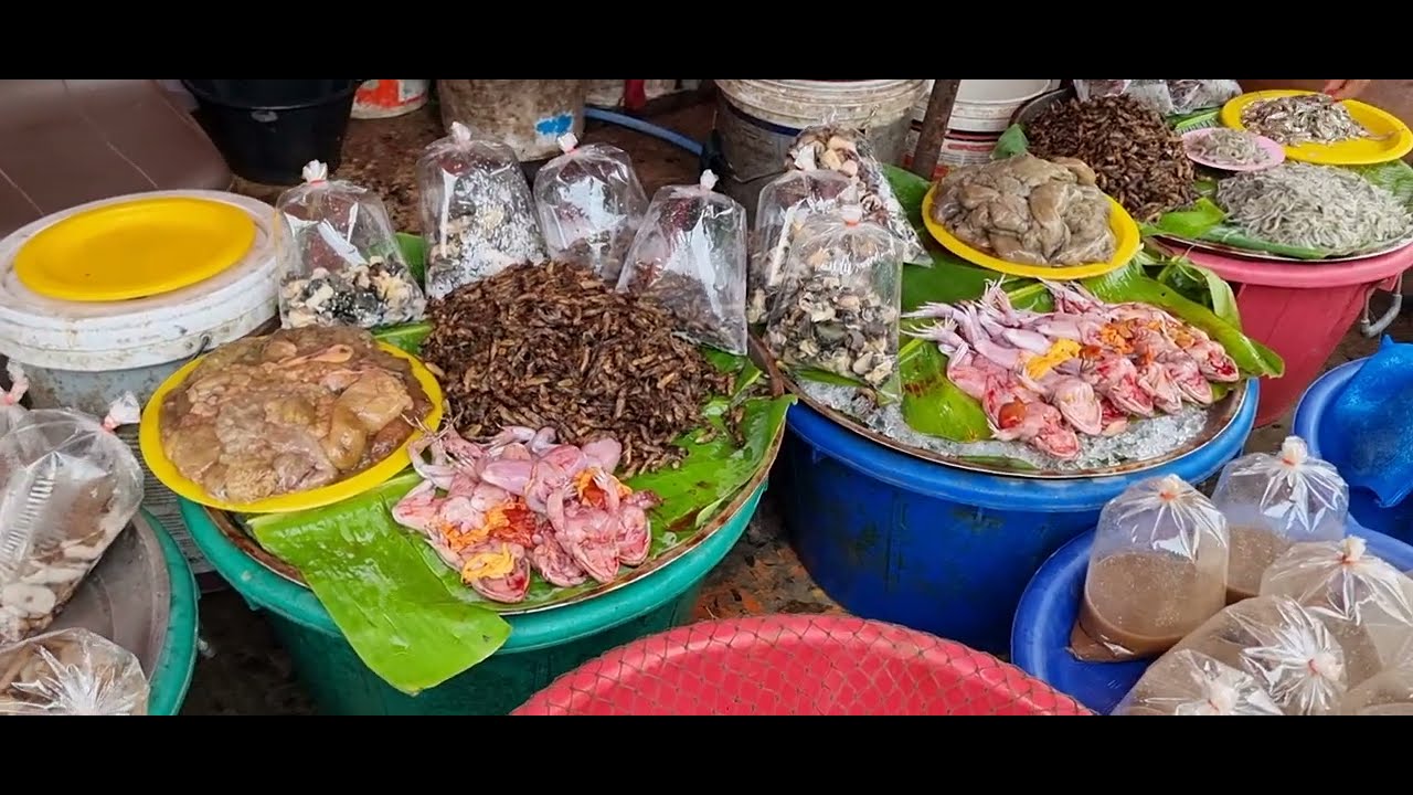 พาเที่ยวตลาดเช้าศีขรภูมิสุรินทร์