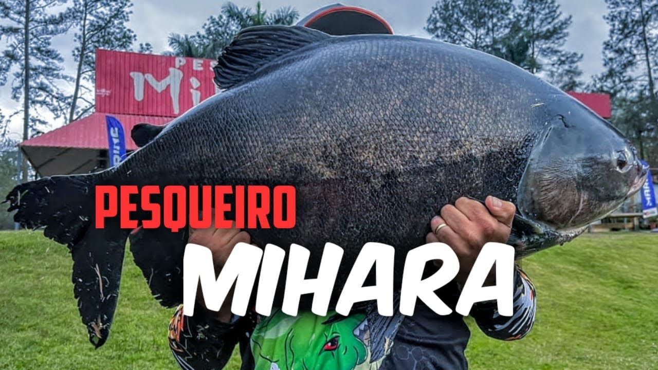 Pesqueiro MIHARA -  Conhecemos a nova ESTUFA - Pescaria de Inverno
