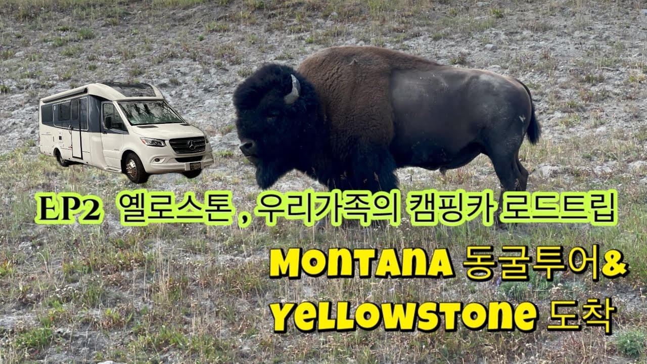 Ep2 Yellowstone 우리가족 캠핑카 로드트립,몬타나 동굴 투어 후 드디어 옐로스톤 도착 