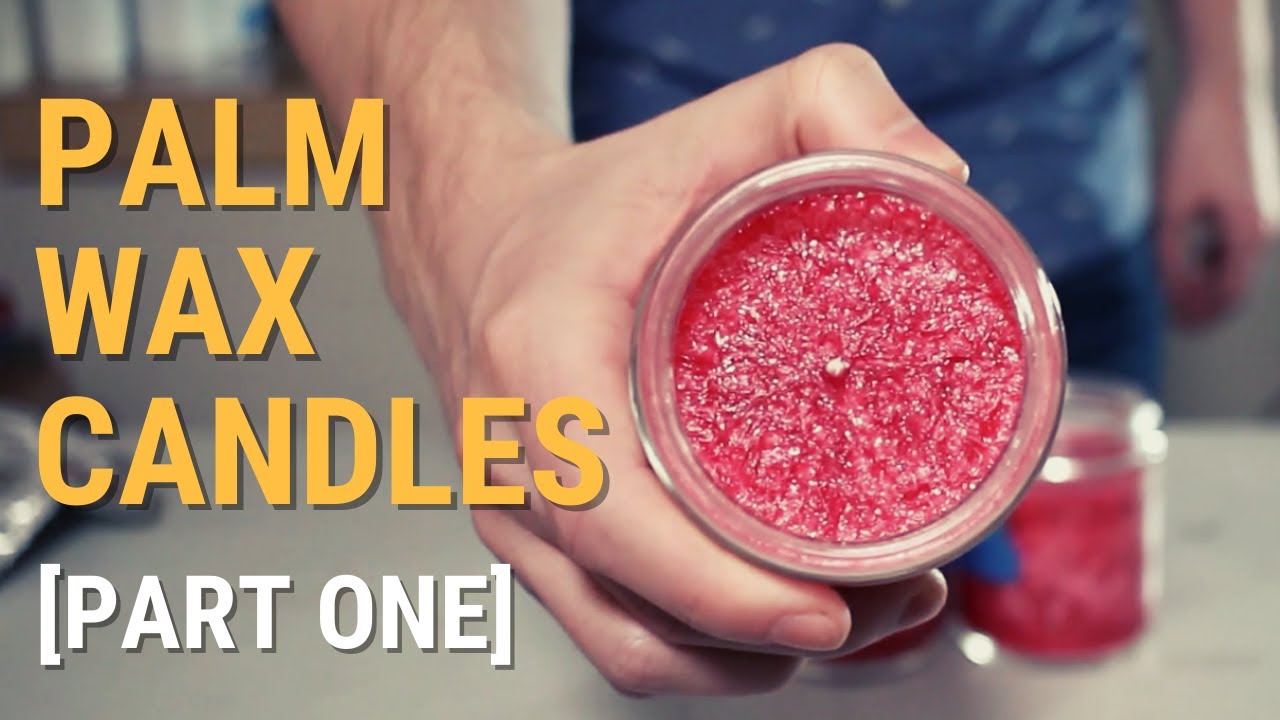 Palm Wax Candle Experiment | Part One