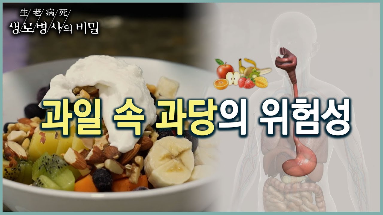 과일 자주 먹었더니 혈당이... (KBS 20220803 방송)