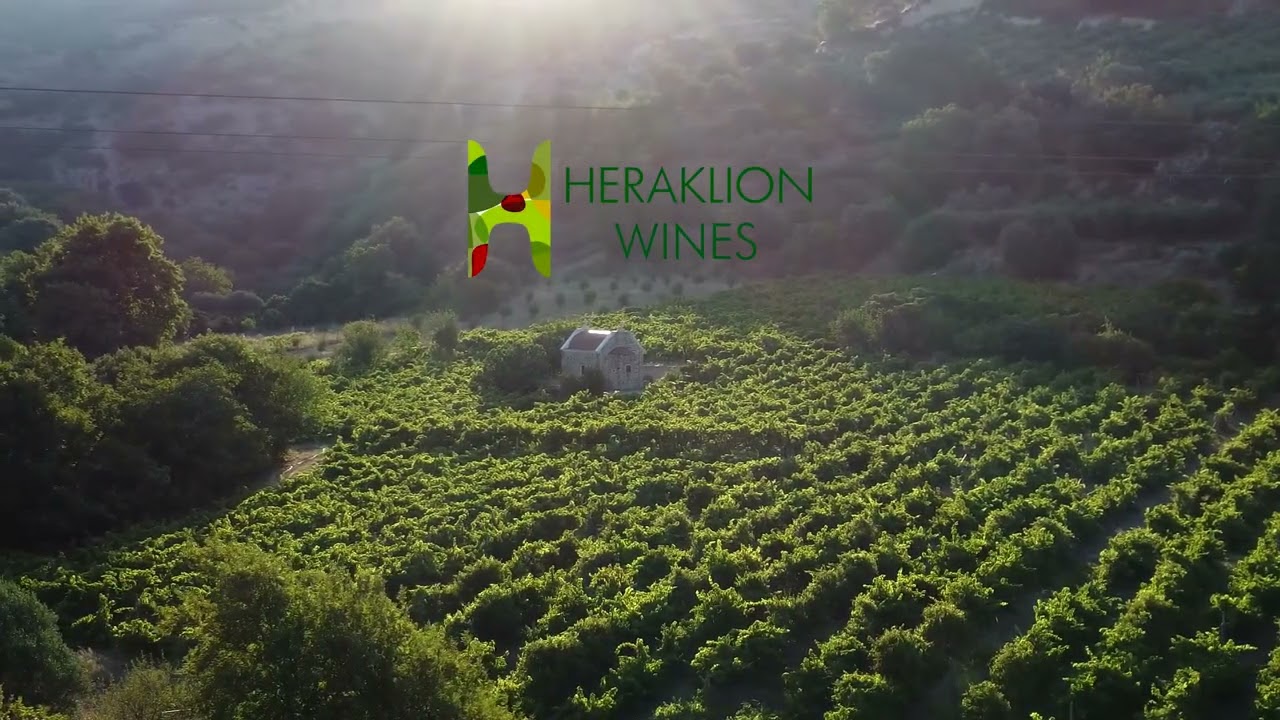 Οινοποιείο Διαμαντάκη | Diamantakis Winery (Μέρος 2ο)