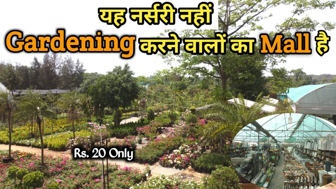 यह नर्सरी नहीं Gardening करने वालों का पूरा Mall है | Gurugram & Faridabad Plant Nursery