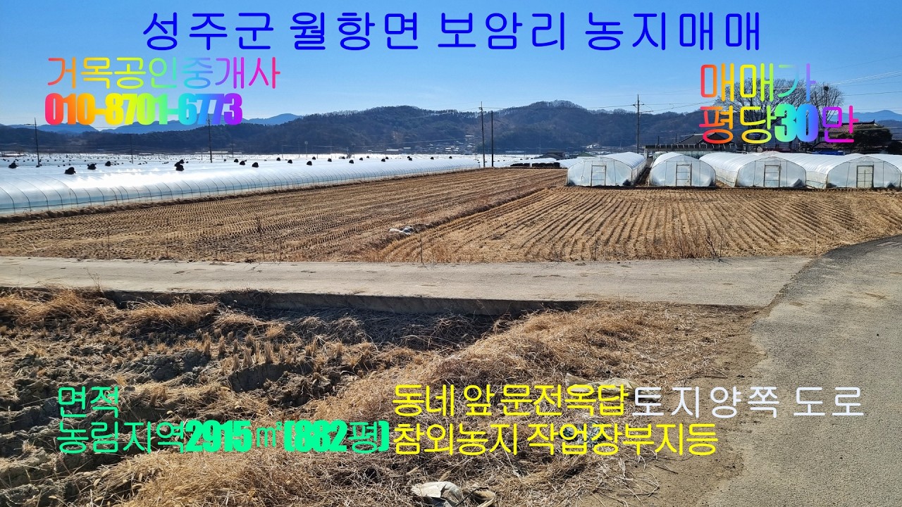 성주군농지매매,월항면농지매매.성주군월항면보암리참외농지매매.2915㎡(882평)