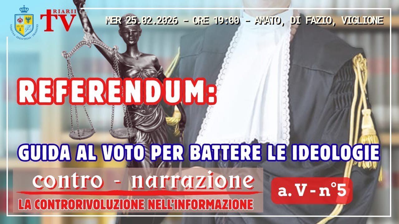 Contro Narrazione Anno V N.5 - Amato, Di Fazio, Viglione