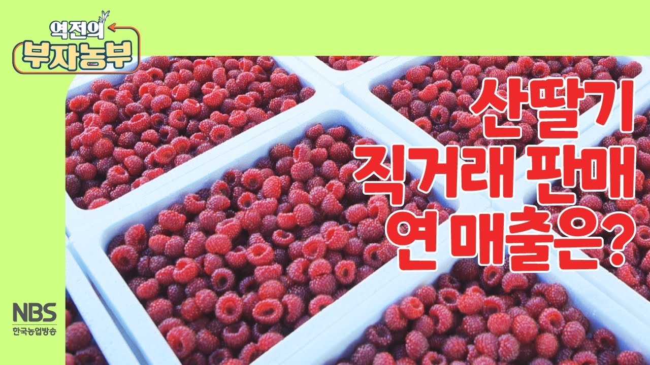 [역전의부자농부 258회] 산딸기 직거래 판매 연 매출은?