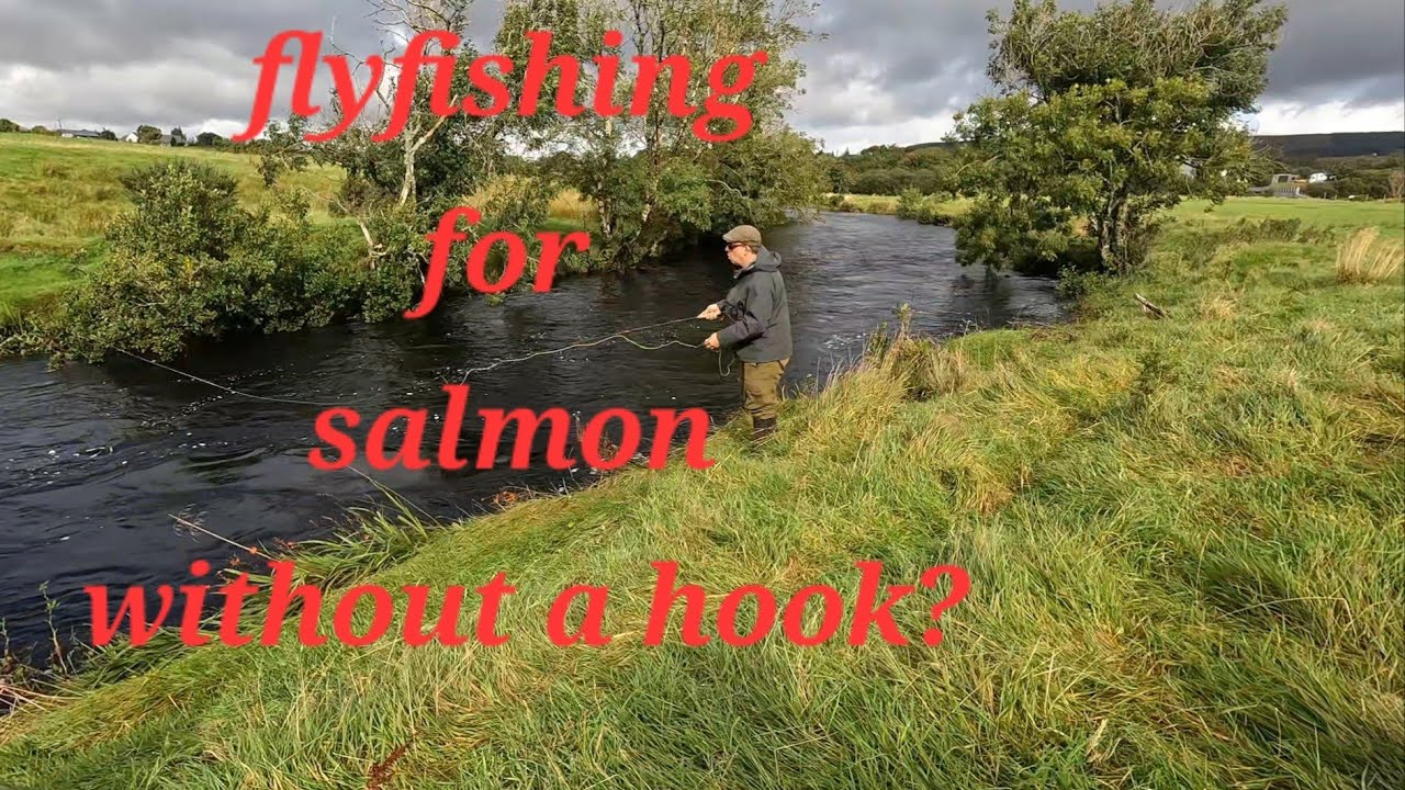 Fly fishing for salmon in Donegal Ireland without a hook?