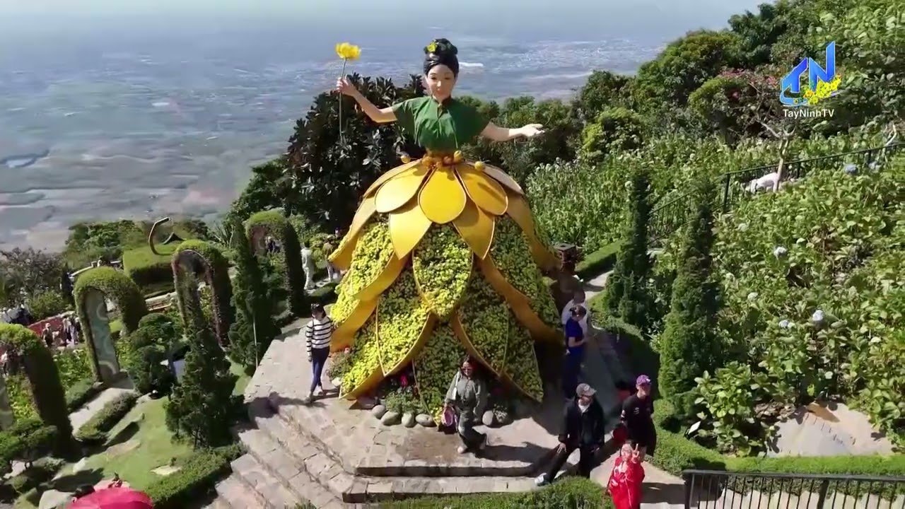 Rực rỡ thảm hoa tulip trên nóc nhà Nam Bộ | TayNinhTV