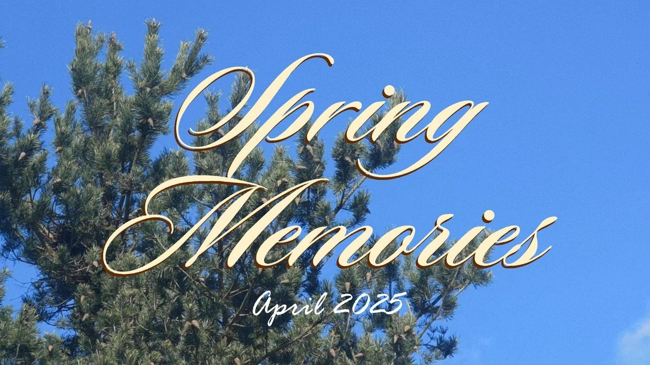 Spring time 🌱 nature awakening, biking with dog, shopping, tea & chill