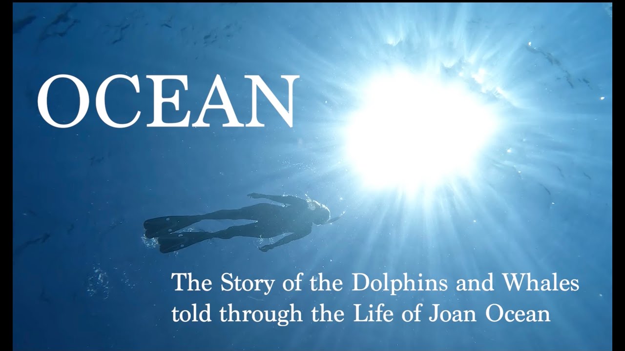 OCEAN - The Story of the Dolphins and Whales told through the life of Joan Ocean