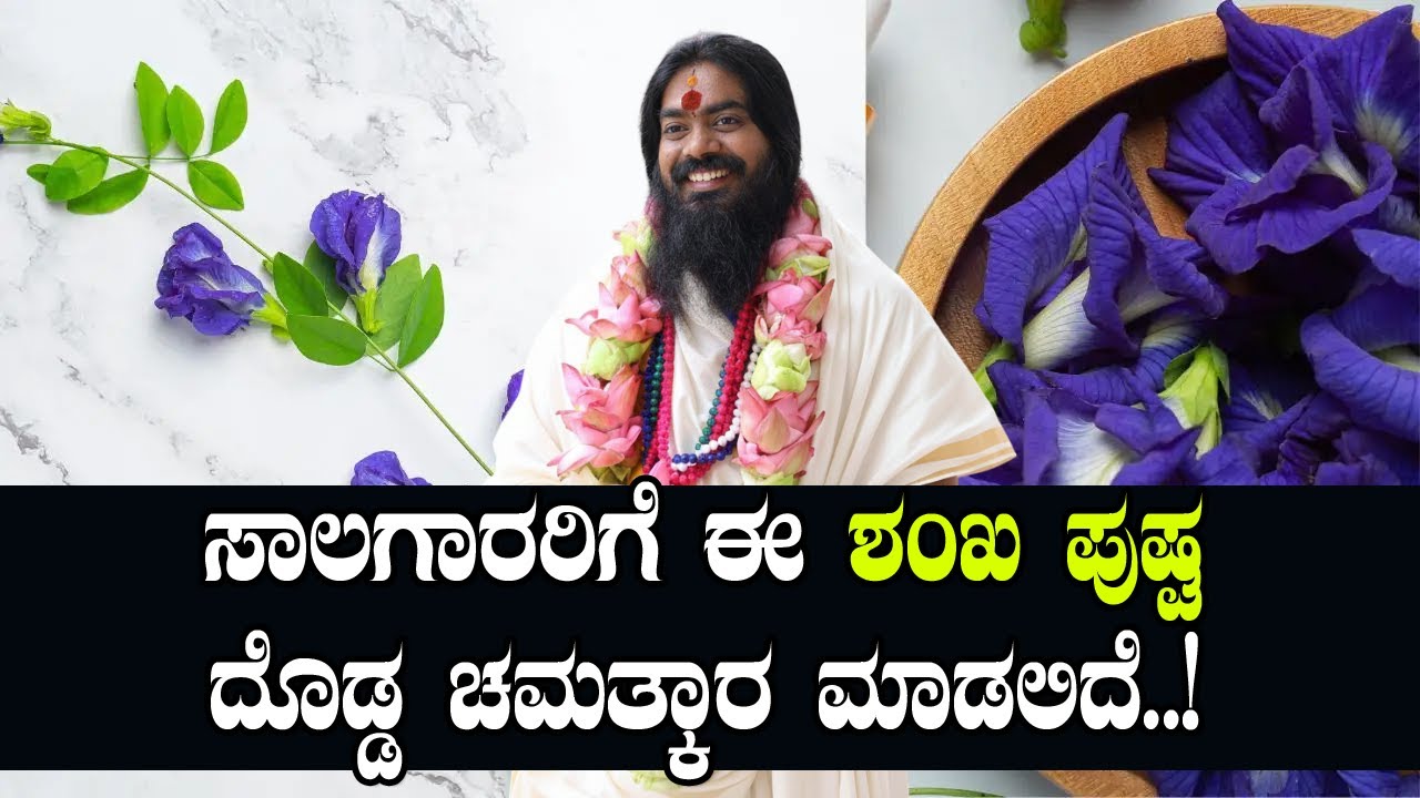 ಸಾಲಗಾರರಿಗೆ ಈ ಶಂಖ ಪುಷ್ಪ ದೊಡ್ಡ ಚಮತ್ಕಾರ ಮಾಡಲಿದೆ..! #vishnudattaguruji