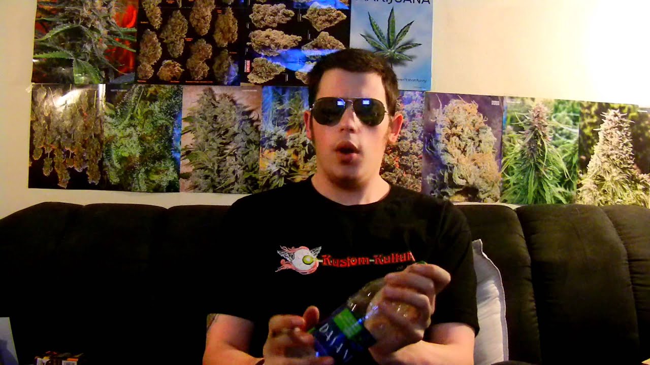 Grim Reefer - Indica vs Sativa