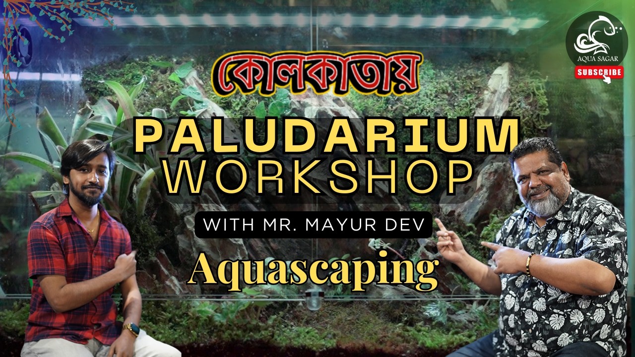 Paludarium Workshop in Kolkata | Learn Paludarium Setup