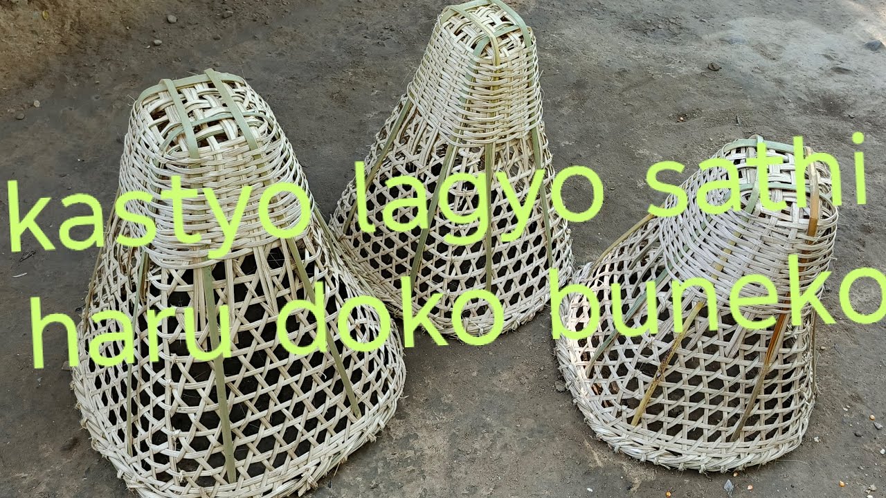 DOKO Buneko hai Sathi haru k kastyo lagchha hajur harulai sallaha sujhap Pani dinu hola hai hajur 