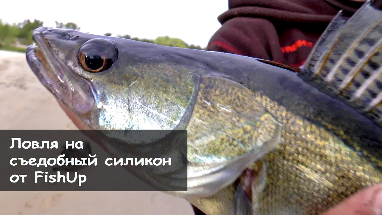 Ловля на Съедобный силикон  FishUp Fishing  Часть 2