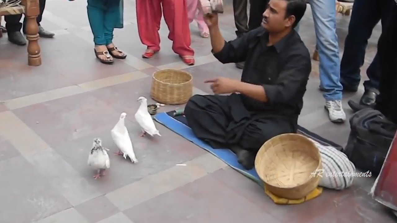 Shocking Indian Street Magic show