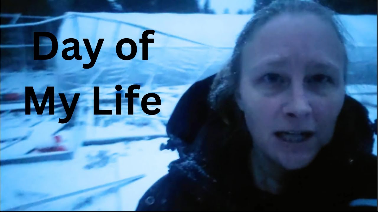 A Real Day in My Life Living Off Grid