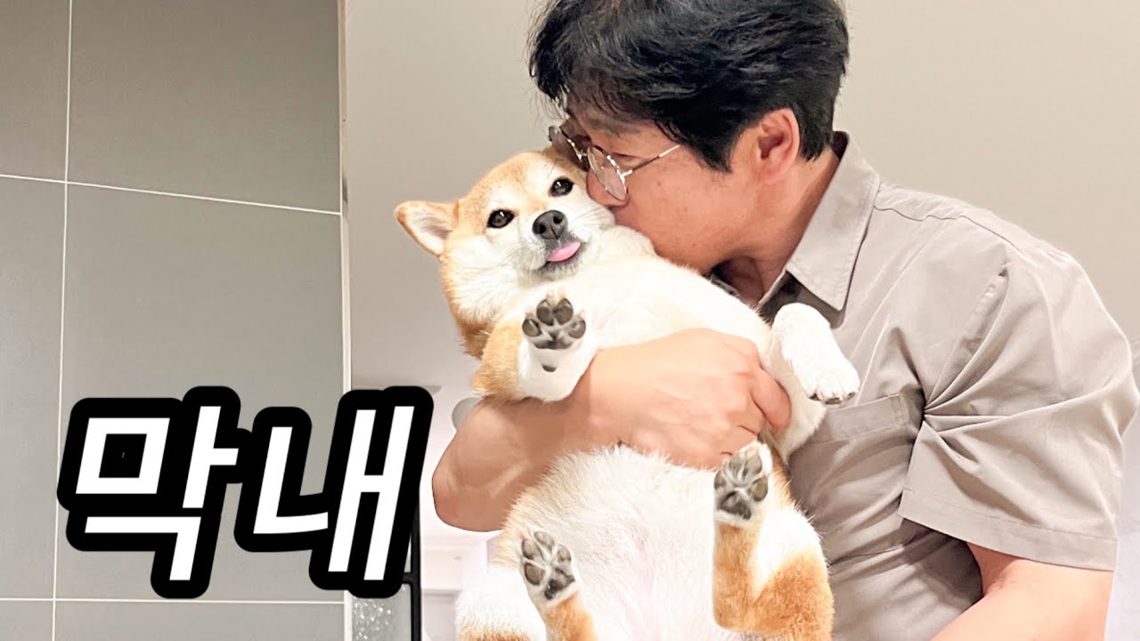 막둥이 덕분에 도파민 폭발하는 가족 브이로그 (+부모님 MBTI)