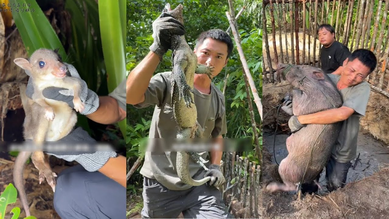 Full | Thử thách sinh tồn 8 ngày trên đảo hoang cùng người nổi tiếng trên mạng| Hà Bá Sinh Tồn