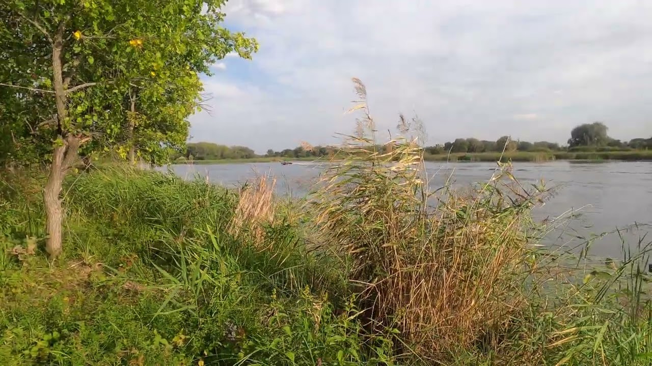 Риб RiverBoats RB &mdash; 430 + HIDEA HD40FFES